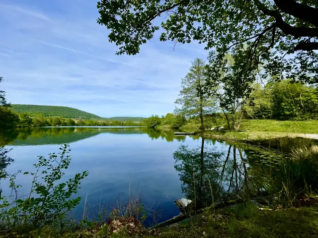 Ausflugstipp: Am Freudenberger Parksee beginnt der Frühling zu Fuß

Der Freudenberger Parksee zeigt sich Anfang Mai von seiner besten Seite. Nur wenige Schritte vom Main entfernt lädt das ruhige Gewässer zu einem Spaziergang ein, der für Singles, Paare, Familien und Senioren gleichermaßen geeignet ist. Die Wege sind eben, die Bänke gut verteilt, und die Natur liefert ein Programm, das sich ständig erneuert: Nilgänse mit Küken am Ufer, Libellen über dem Wasser, gelbe Wiesenblüten entlang des Pfads.

Der Parksee selbst hat eine kleine Geschichte. Aus einem früheren Baggersee wurde über die Jahre ein gepflegter Erholungsraum, der heute wirkt, als sei er schon immer Teil der Landschaft gewesen. Gleich nebenan steht das neue Freudenberger Bad kurz vor der Eröffnung – die Anlage ist startbereit und wird in den kommenden Wochen wieder zum sommerlichen Treffpunkt für die ganze Region.

Wer den Spaziergang verlängern möchte, erreicht in wenigen Minuten die Freudenberger Altstadt. Fachwerk, enge Gassen, kleine Cafés und der Blick hinauf zur Burg geben dem Ausflug einen historischen Rahmen. Die Flaniermeile entlang des Mains verbindet Natur und Stadt auf angenehme Weise und lädt zu einer Pause ein, bevor es zurück zum See geht.

Ein kompakter Ausflug, der ohne große Planung gelingt und dennoch das Gefühl vermittelt, einen ganzen Tag lang unterwegs gewesen zu sein.
