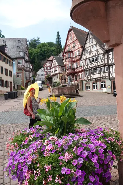 Hamburger Touristin gefällt Miltenberg 