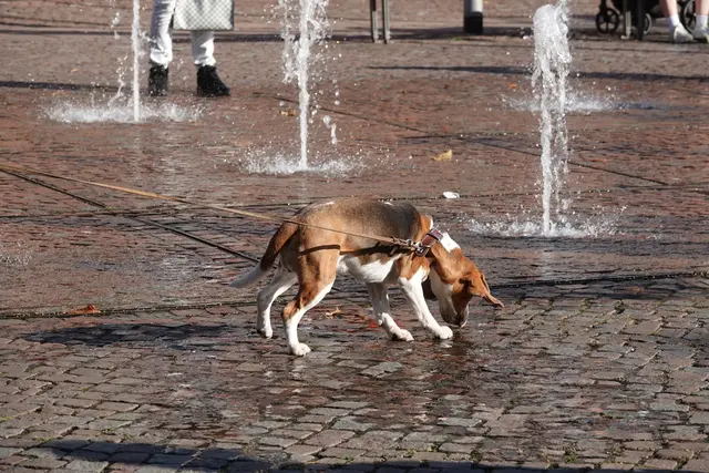 Gesehen am Engelplatz in Miltenberg