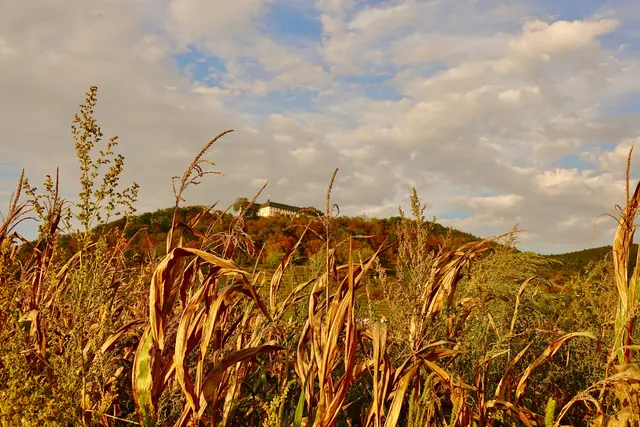 Zwischen Himmel und Erde.