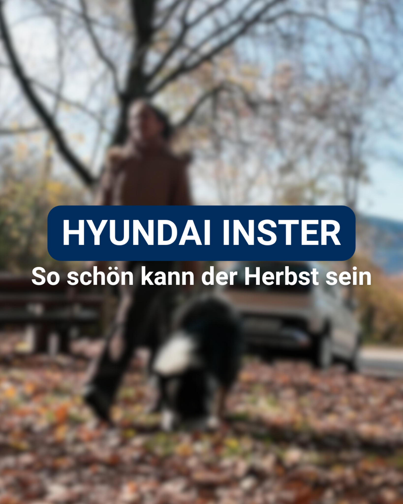 -Anzeige-So-sch-n-kann-der-Herbst-sein-Mit-dem-Hyundai-Inster-im-Autohaus-Bieger