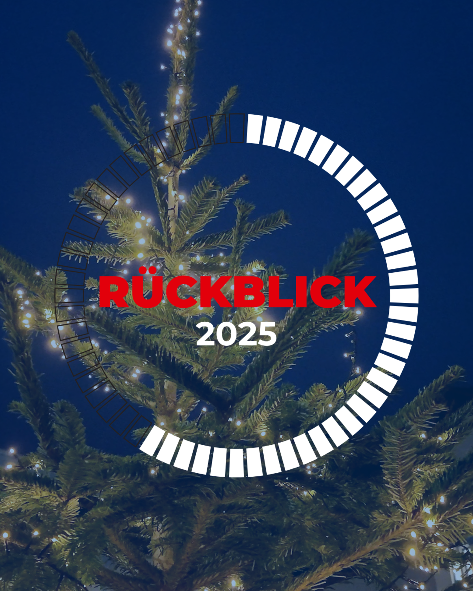 -Anzeige-WIRL-R-ckblick-2025-Projekte-Team-Engagement